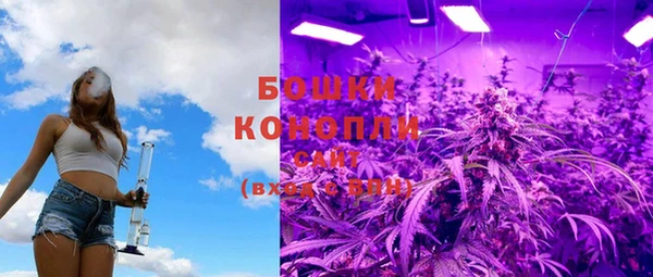 шишки Остров