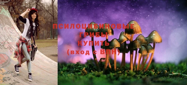 шишки Остров