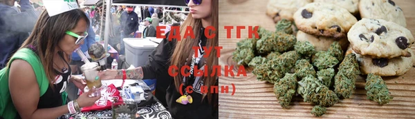 тгк Осинники
