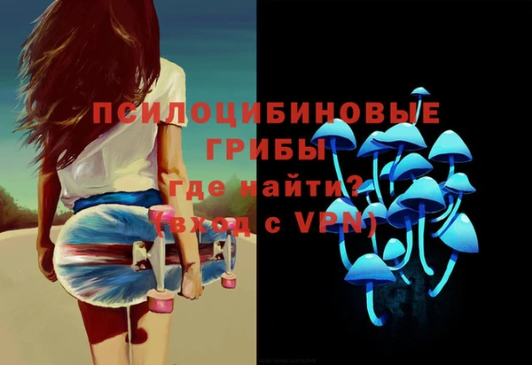 тгк Осинники