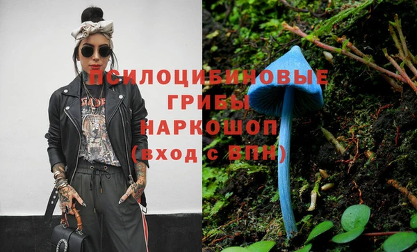 шишки Остров