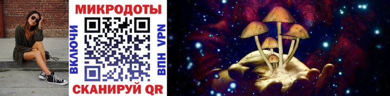 что такое наркотик  Салаир  Галлюциногенные грибы Psilocybe 